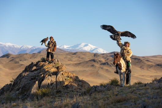 How to Choose the Right Degree for a Career in Wildlife Management