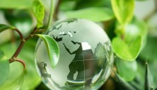 Exploring Innovative Approaches in Global Conservation Initiatives